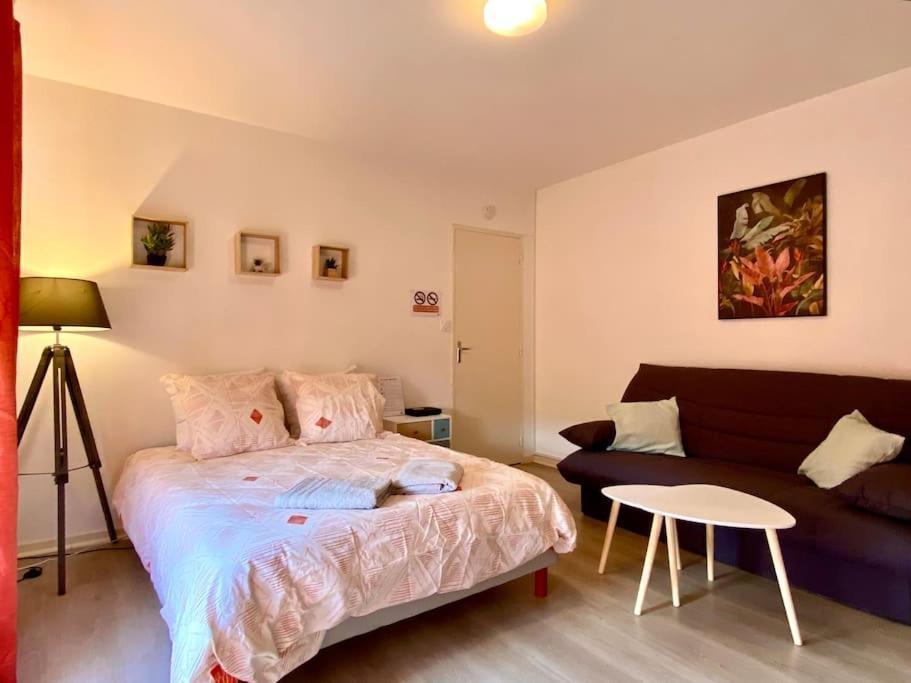 T2 Cosy Proche Hopital + Parking Gratuit Sur Place Auxerre Eksteriør bilde